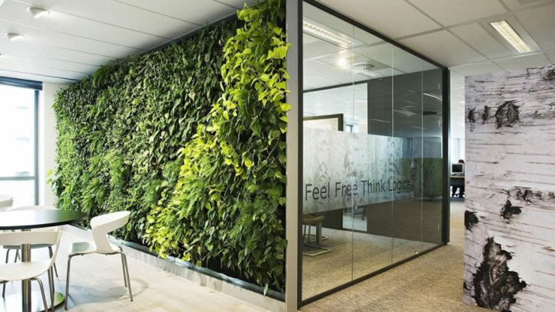 sancilio evotech molfetta - design biofilico green ufficio ambiente azienda verde verticale piante benessere concentrazione