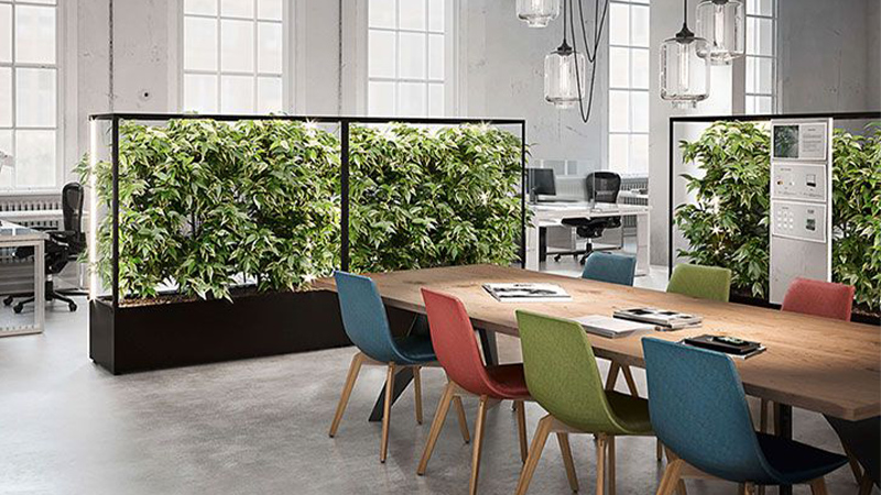 sancilio evotech molfetta - design biofilico green ufficio ambiente azienda verde verticale piante benessere concentrazione