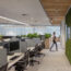 Creare un ufficio green: perché usare il design biofilico