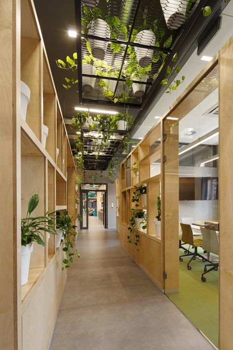 sancilio evotech molfetta - green office benefici design biofilico ufficio ambiente azienda verde verticale piante benessere concentrazione